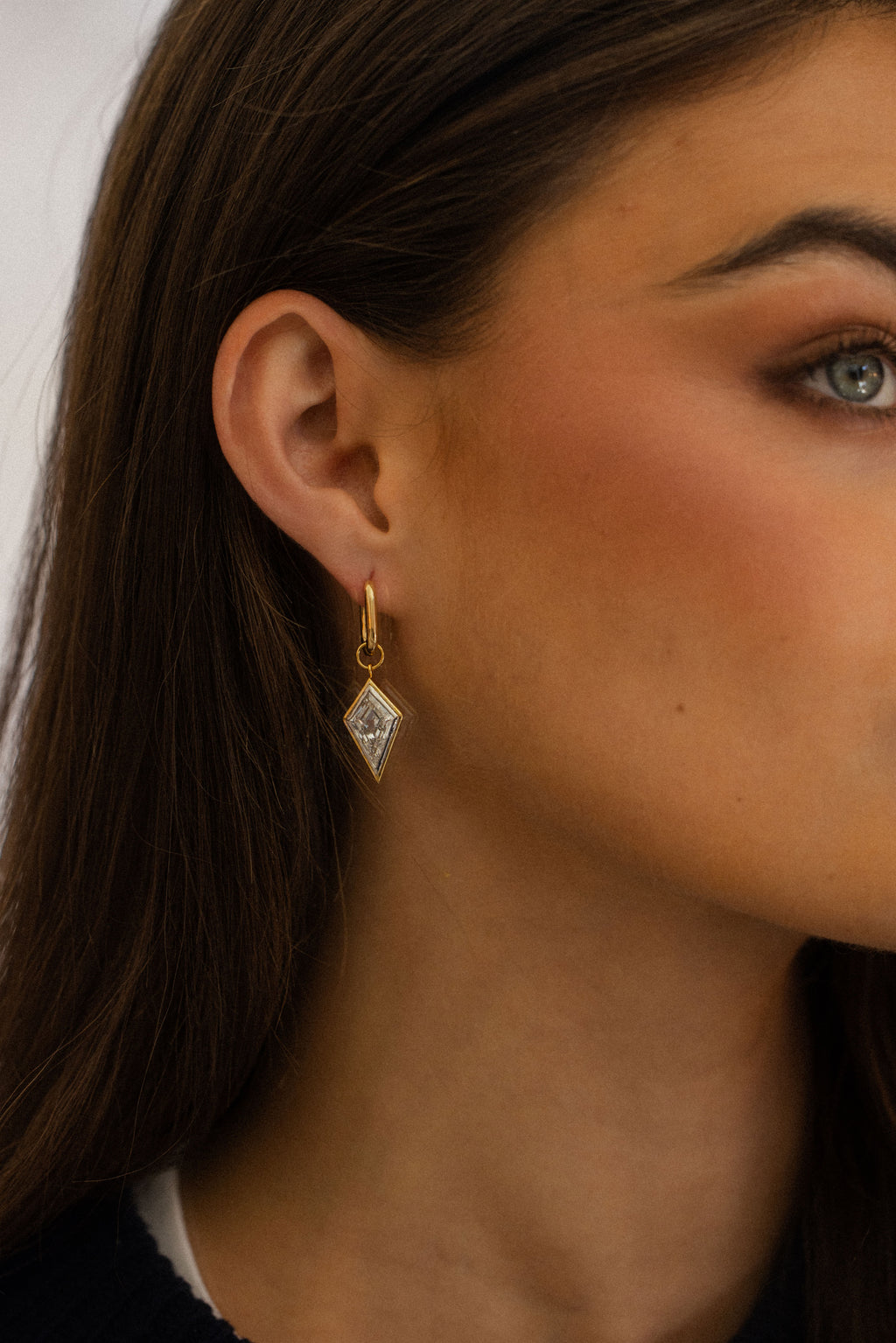 The Loop Earrings